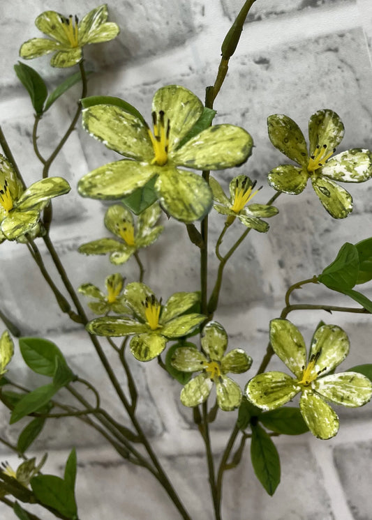 Green Plum Flower Stem