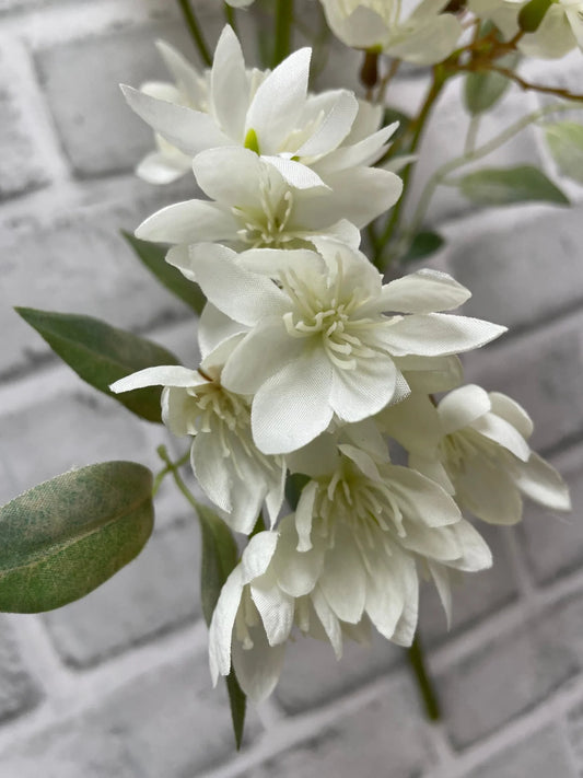 White Weigela