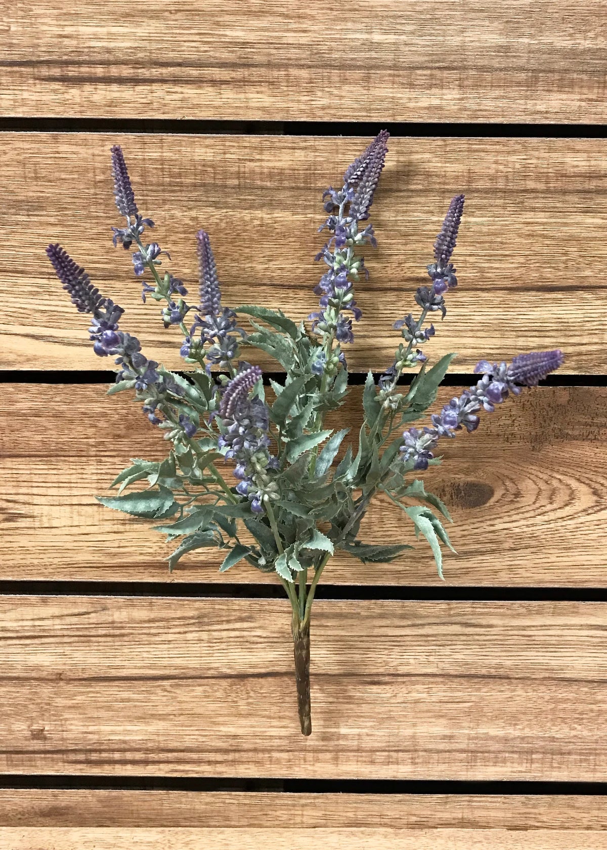 Lavender Bush