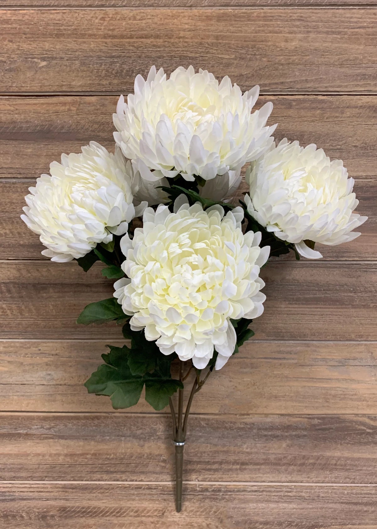 White Football Mum Bush
