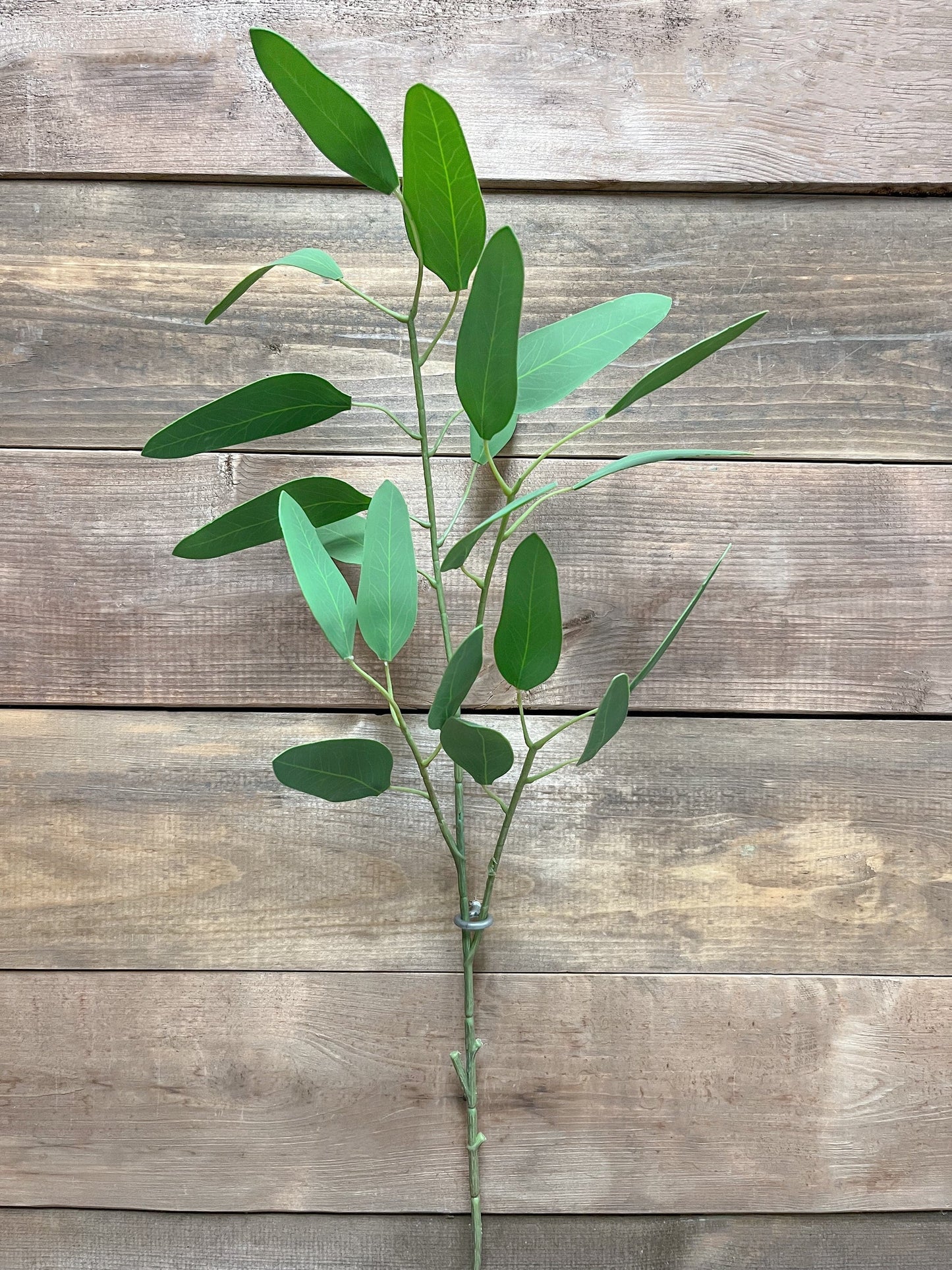 Feather Eucalyptus Spray