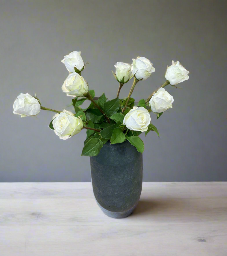 White Rose Dutchess Bud