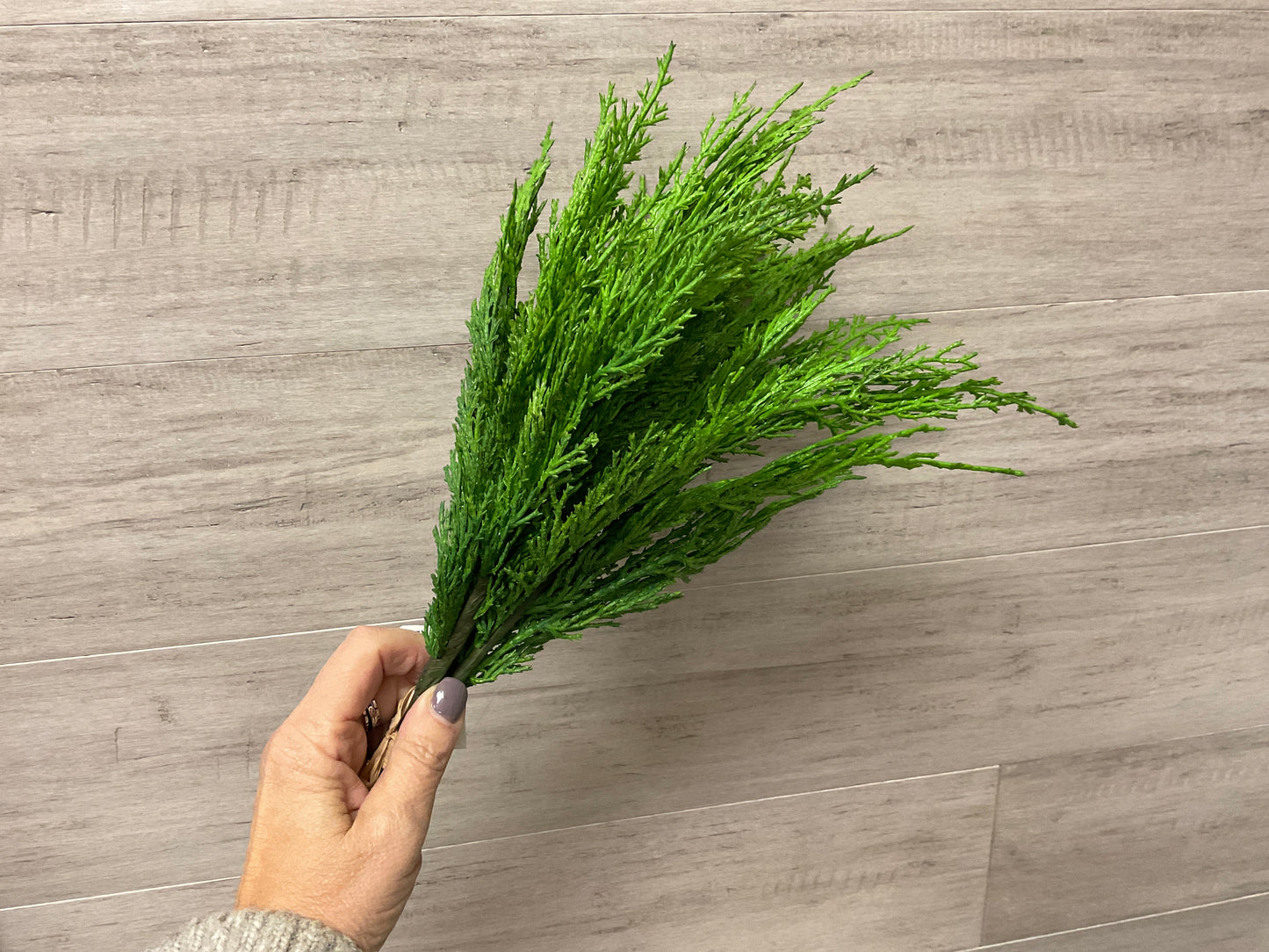 Fresh Touch Whispy Cedar Bundle