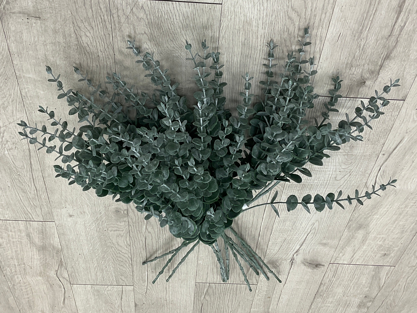 Eucalytpus 29" Spray - Green