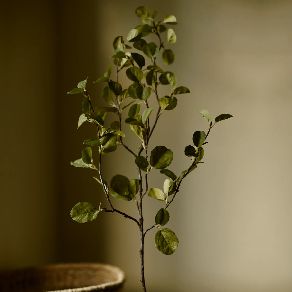 Artificial plant branch with green leaves on a blurred background