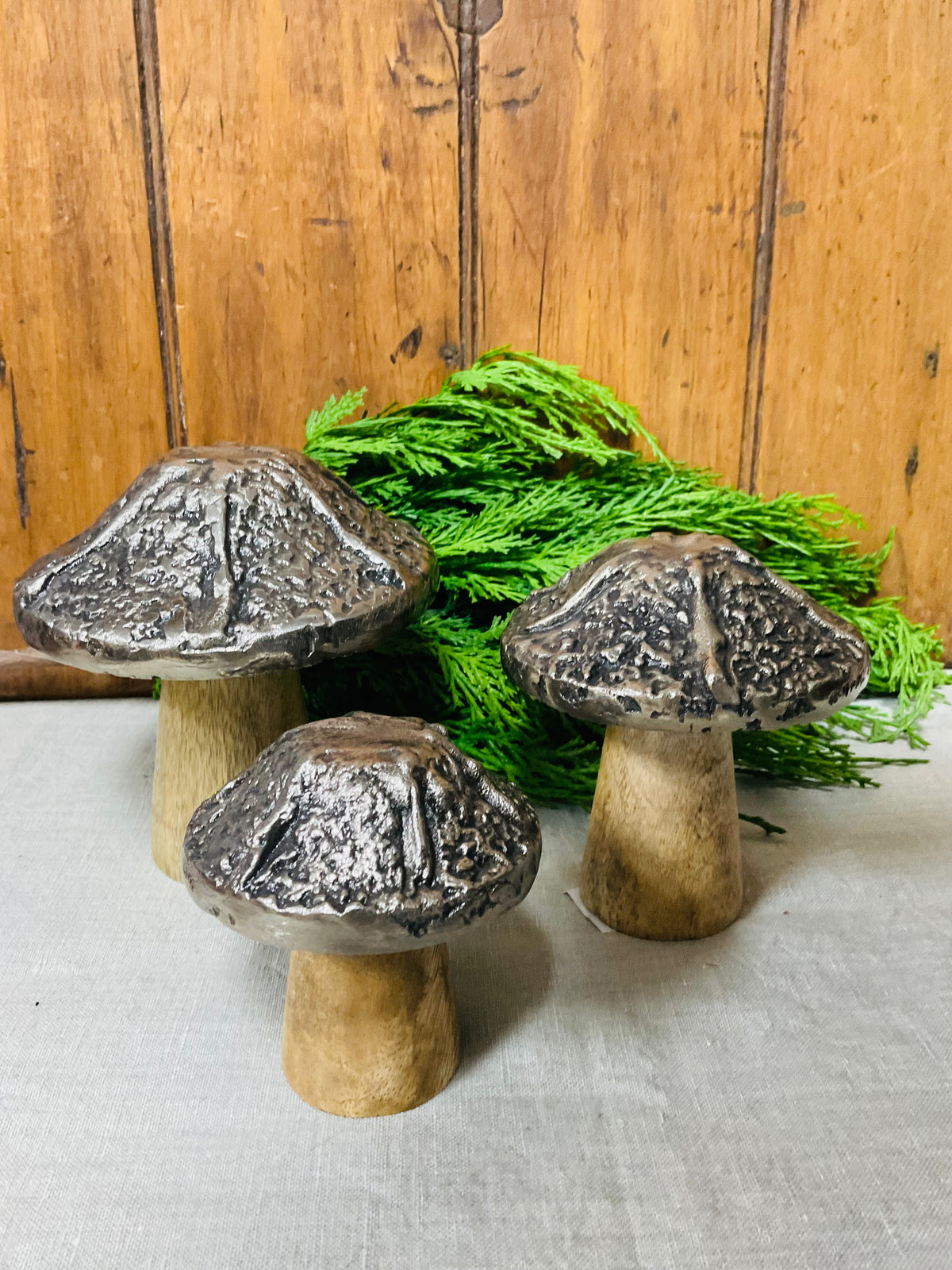 Fairy Tale Mushrooms