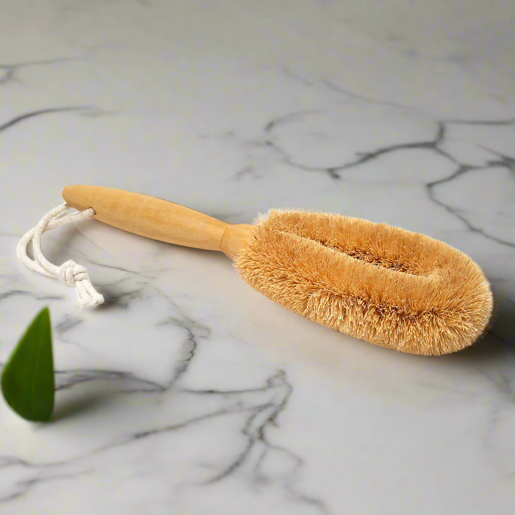 Coconut Foot Brush