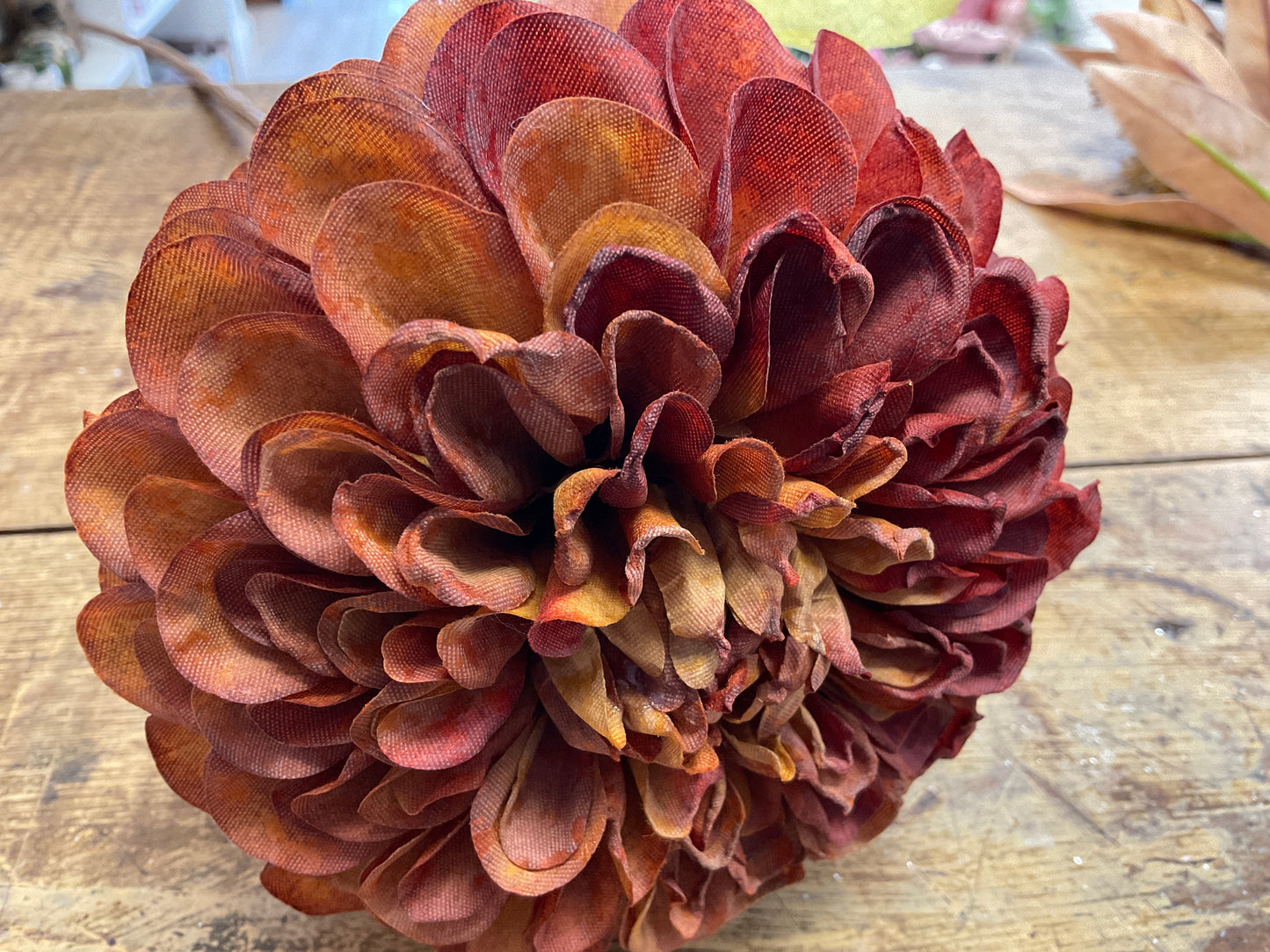 Dried Look Dahlia Stem
