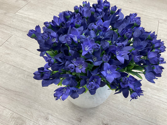 Purple Balloon Flower