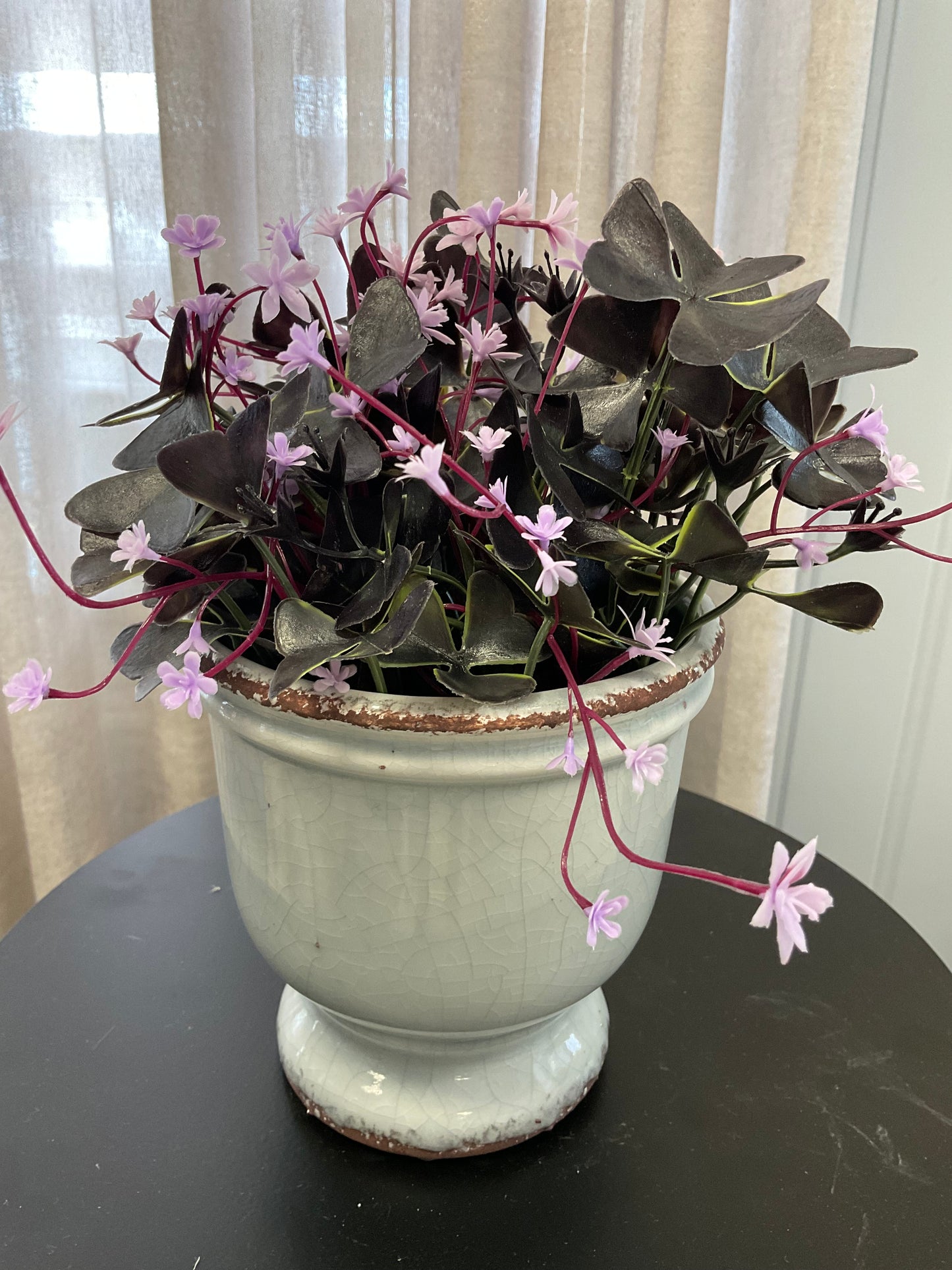 Sophie Flower Pot