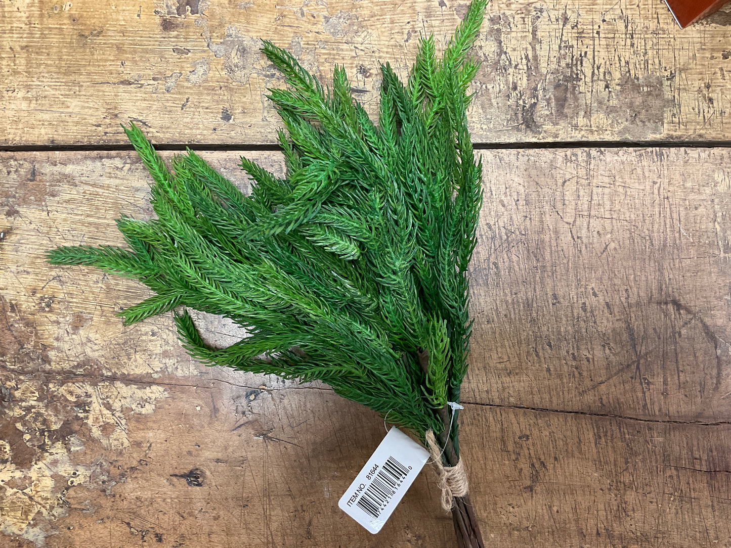 Fresh Touch Norfolk Pine Bundle