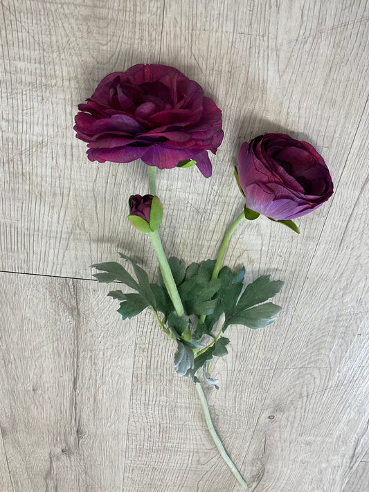 Garden Ranunculus Stems