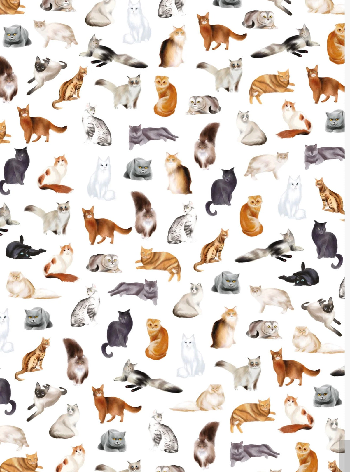 Maison Lorrain Designer Tea Towels - Cats! - Designed in Canada
