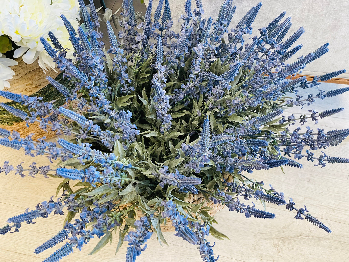 Lavender Bush