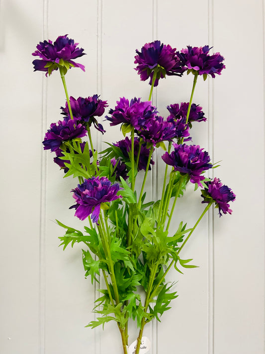 Ruffle Cosmos Bush 20″ – Purple