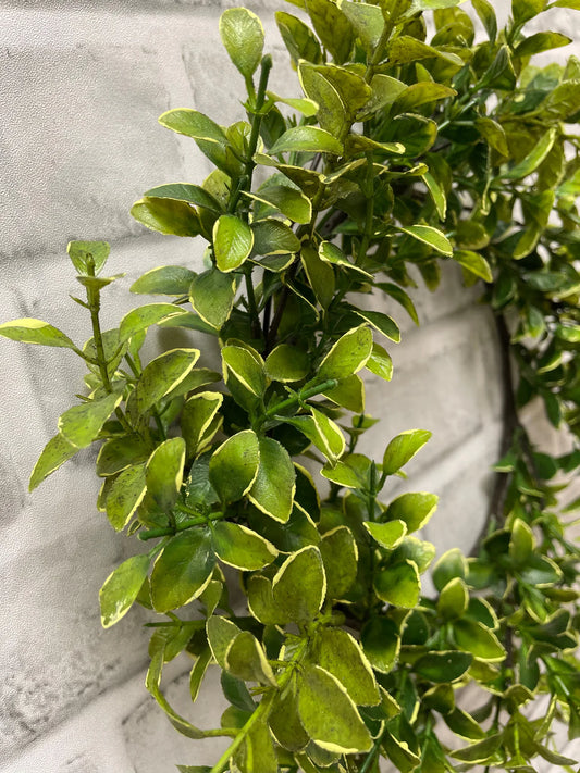 Golden Euonymus Candle Ring