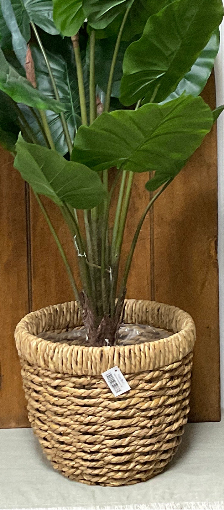 Potted plant in a woven basket against a wooden door
