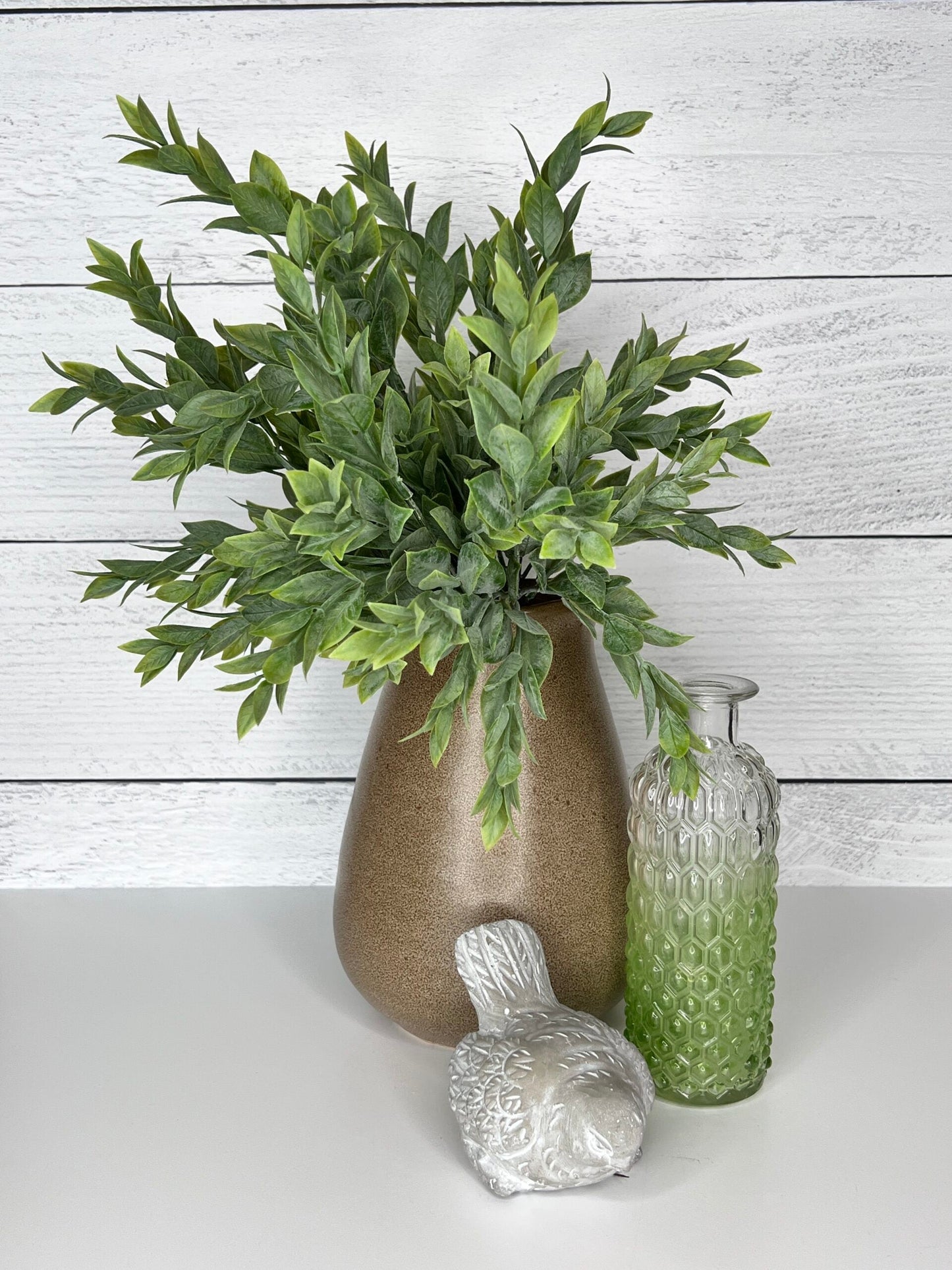 Nema Vase