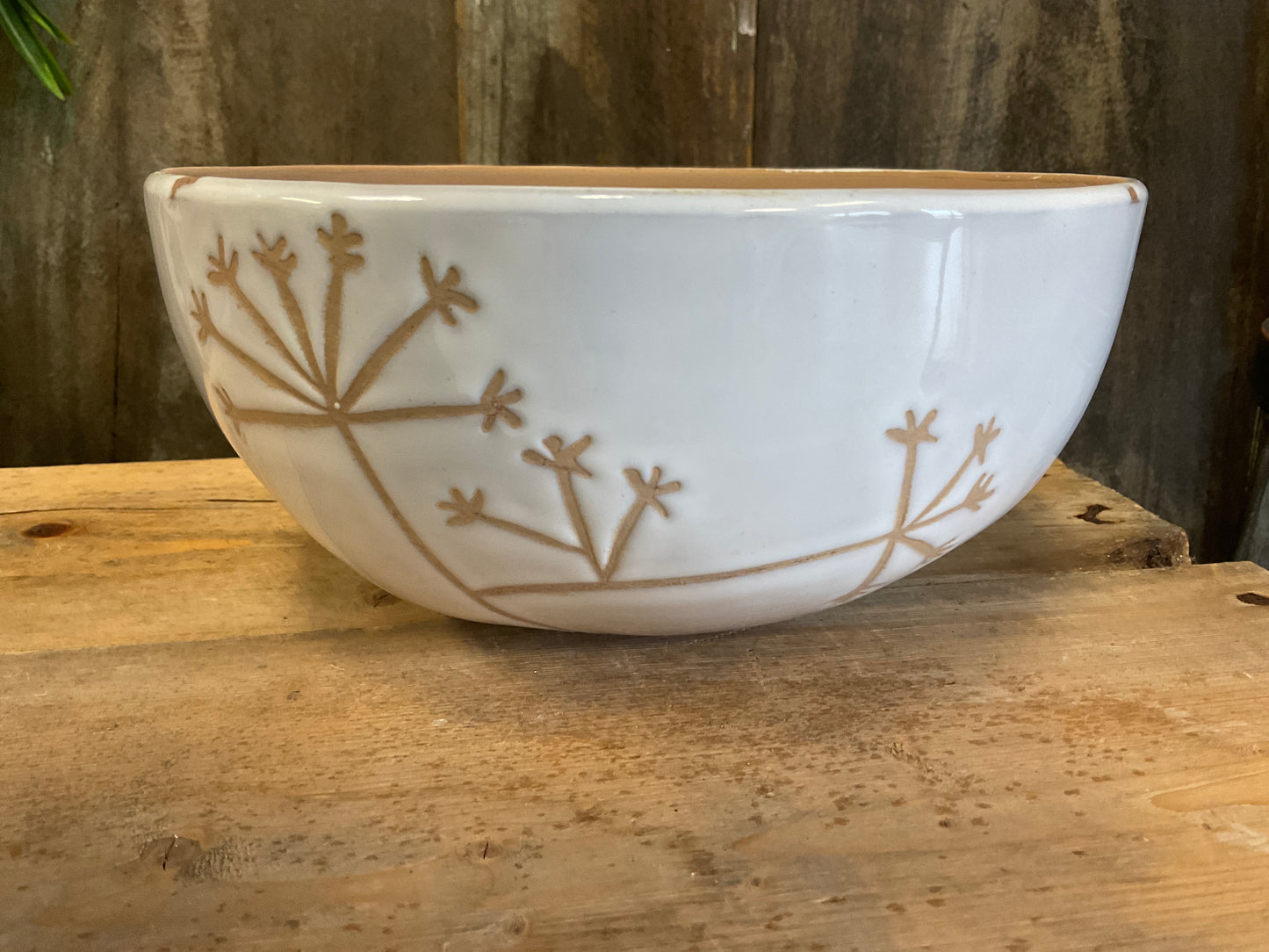 Umbel Bowl
