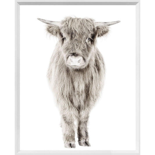 Highland Calf Print