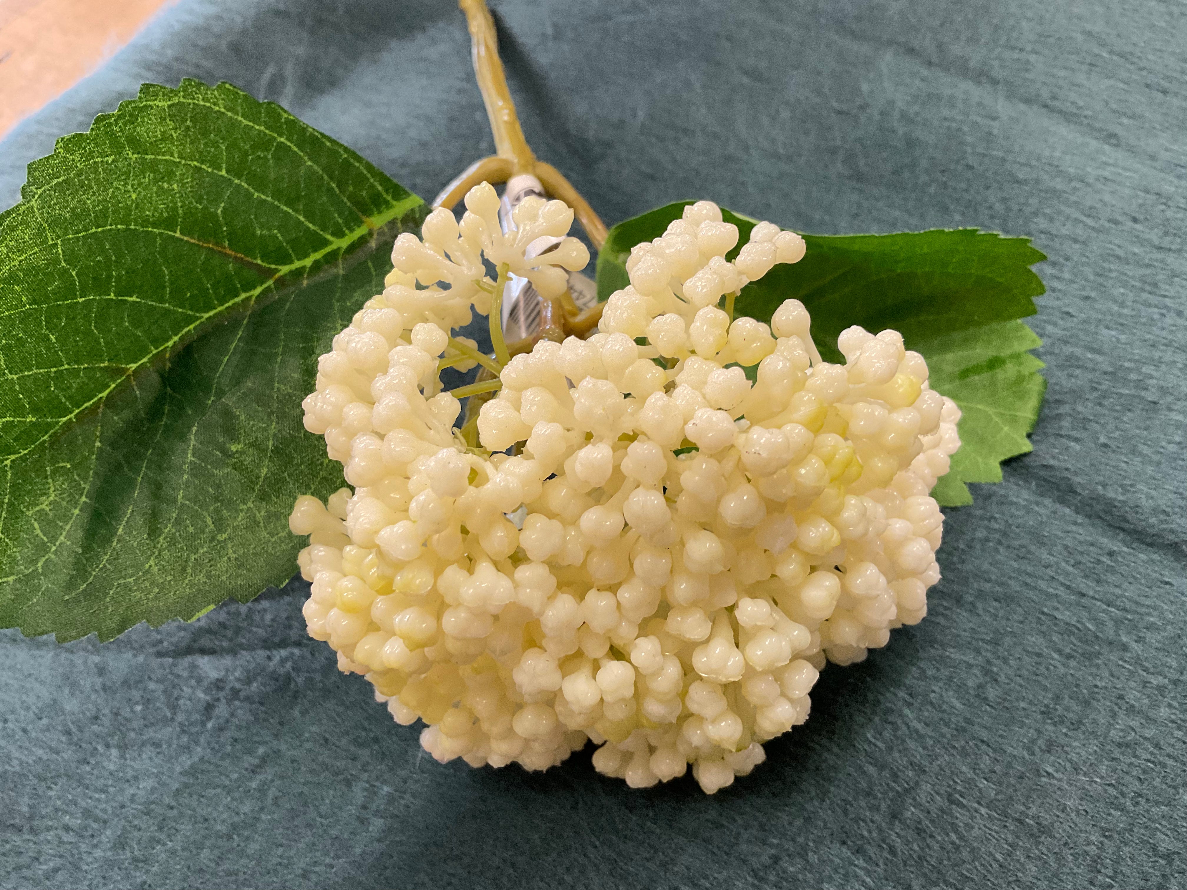 10” Cream Seeded Hydrangea