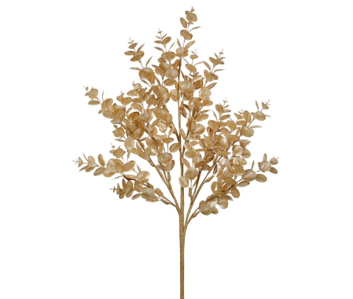 Pearly Eucalyptus Spray