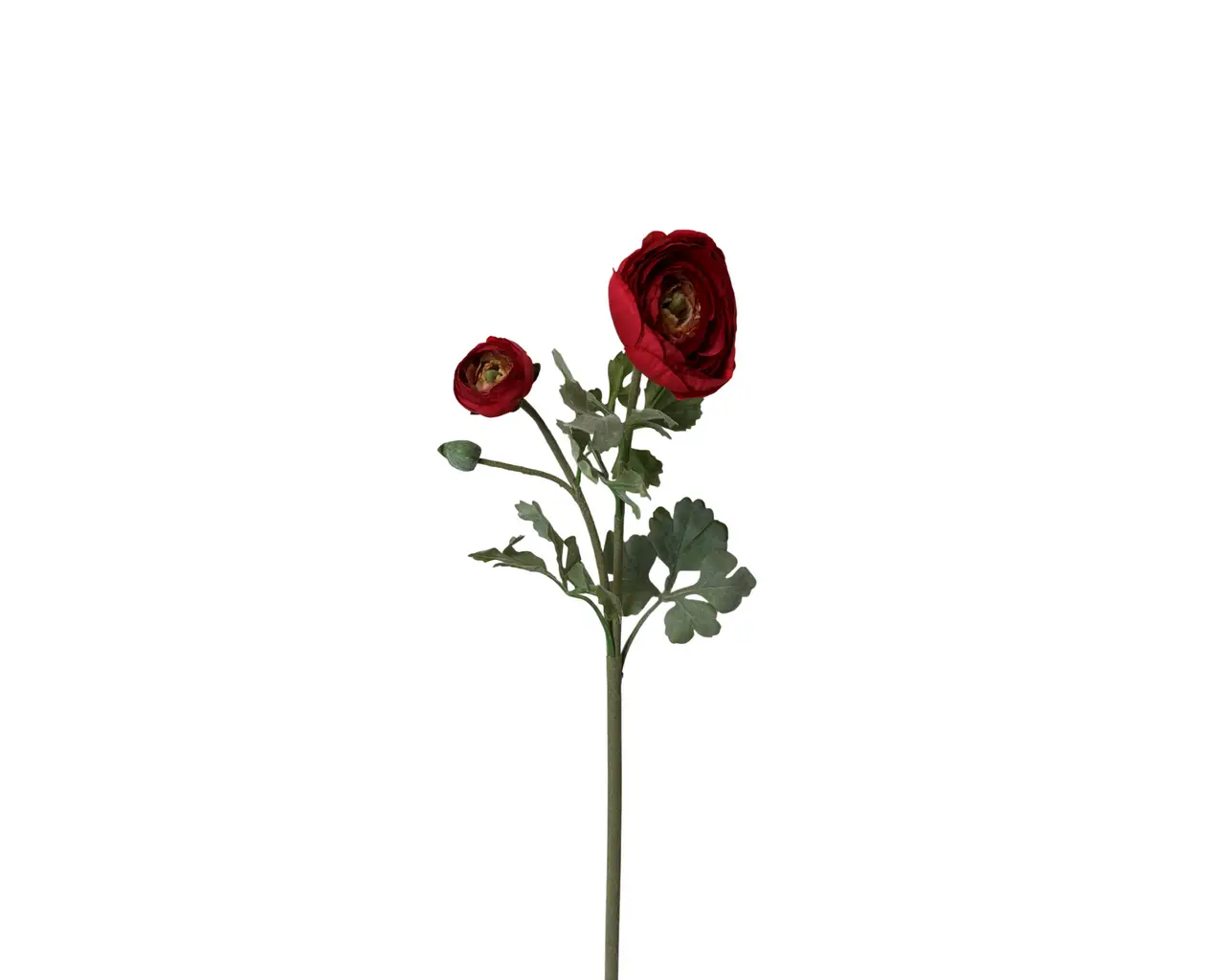 UV Protected Ranunculus with Bud 24" Spray - Red