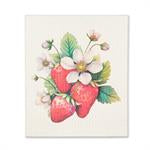 Strawberry Dishcloth