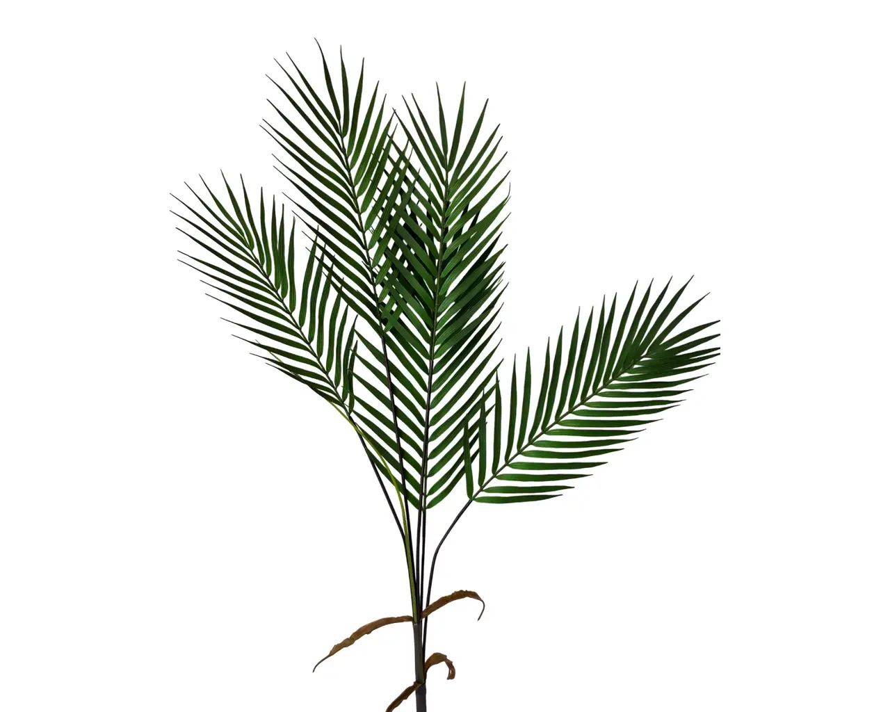 UV Protected Palm Leaf Bush