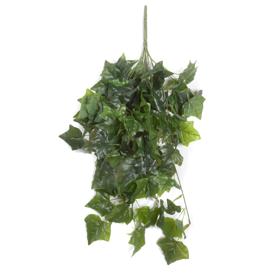 UV Protected Hanging Ivy Bush
