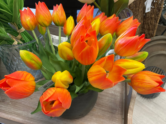10" Fresh Touch Mini Wild Orange Tulip Bundle
