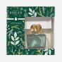 Maison Berger Magical Gift Set