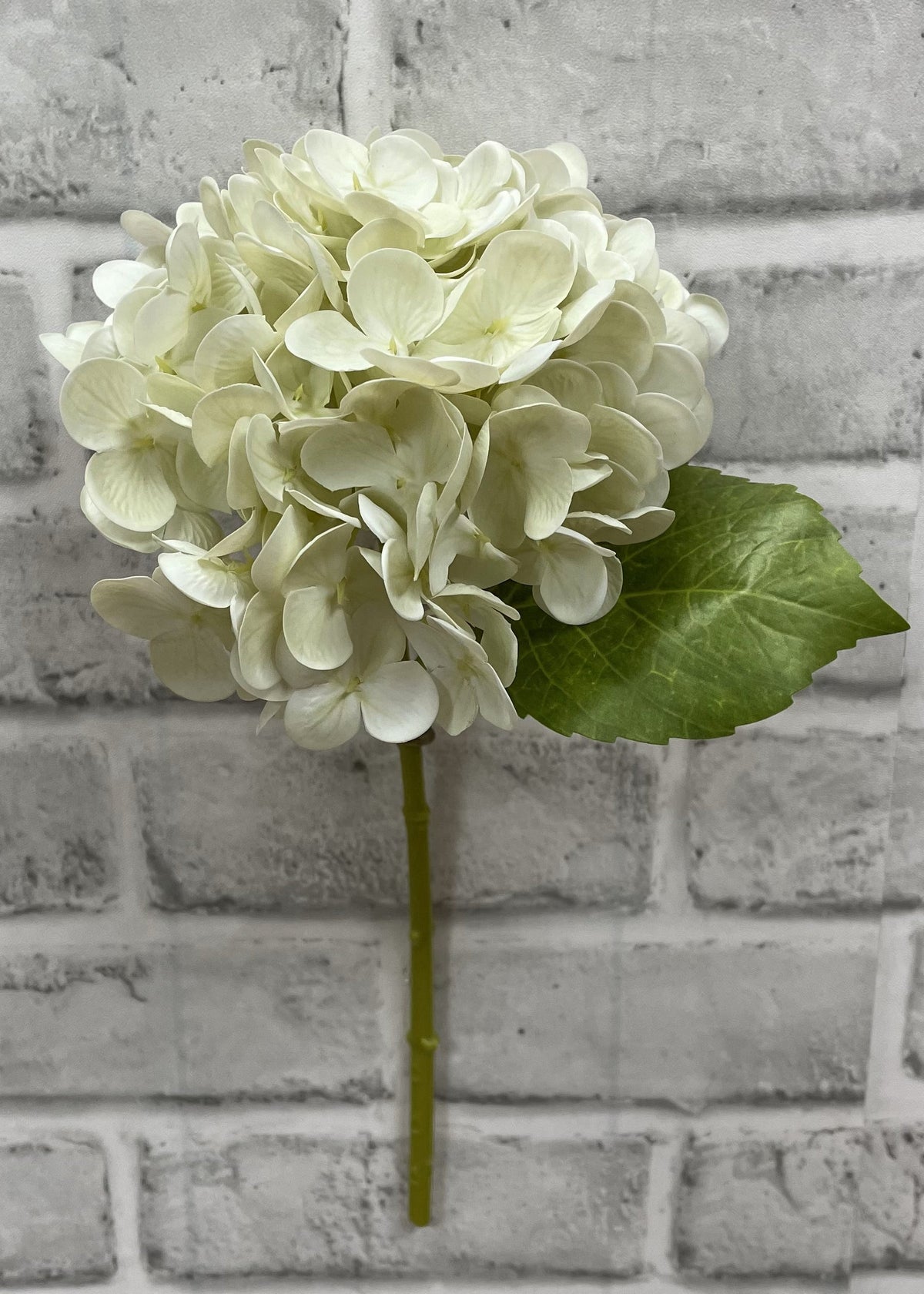 Cream Fresh Touch Hydrangea Stem