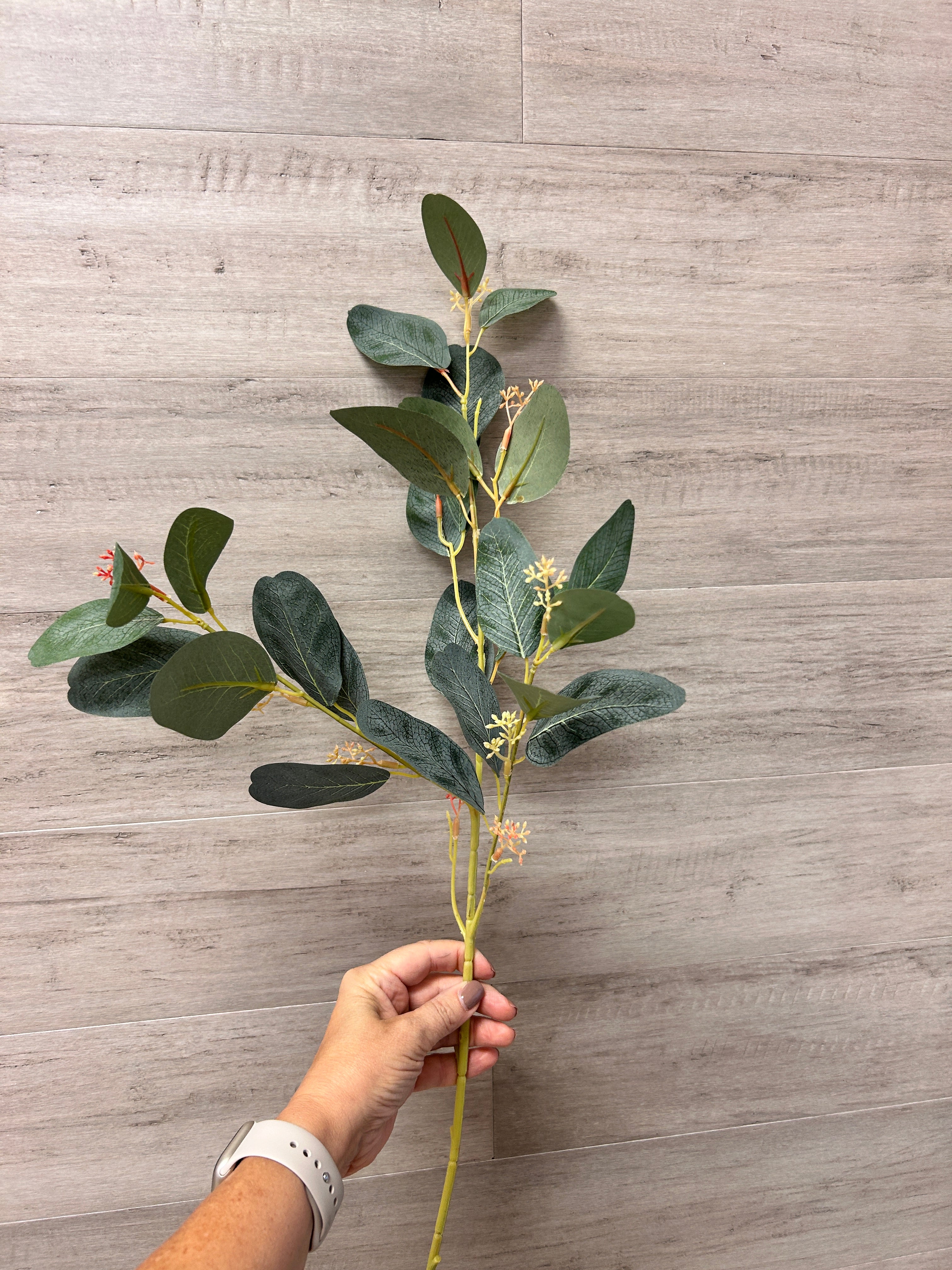 Seeded Eucalyptus 27"