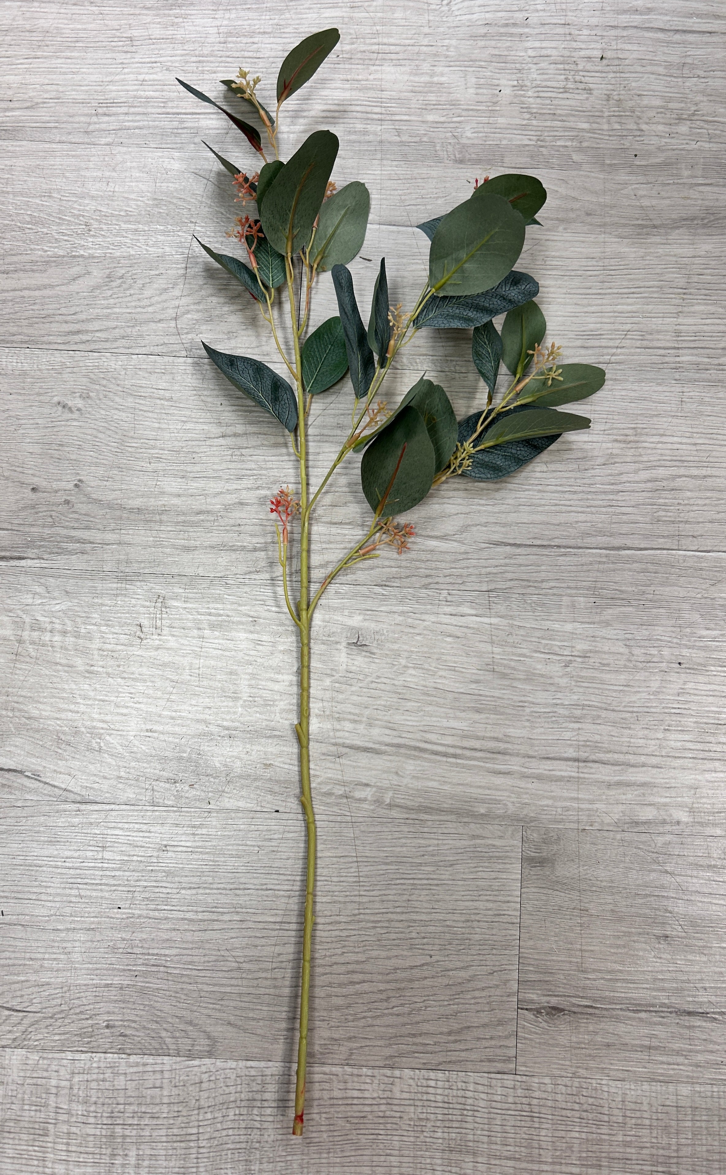 Seeded Eucalyptus 27"