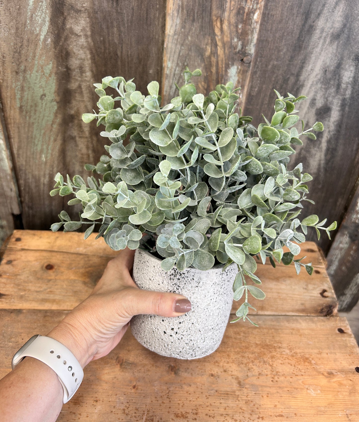 Potted Eucalyptus Faux Plant