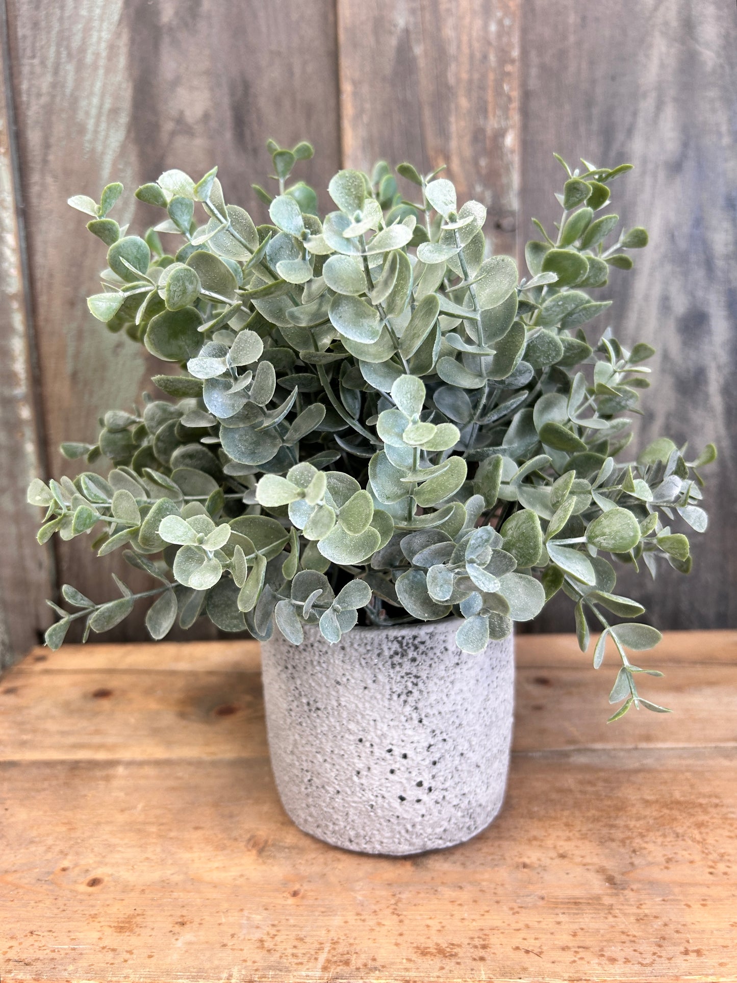 Potted Eucalyptus Faux Plant