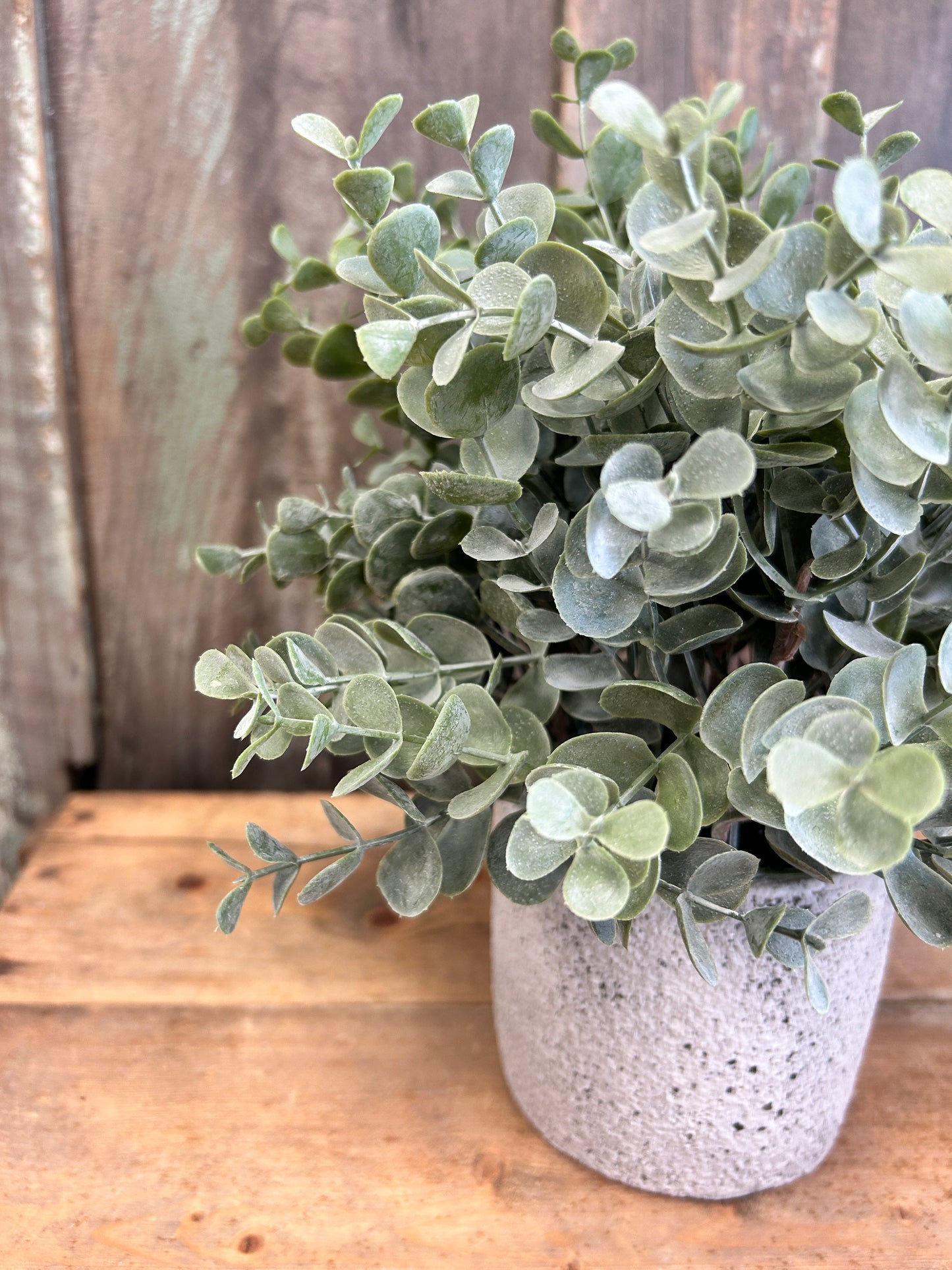 Potted Eucalyptus Faux Plant