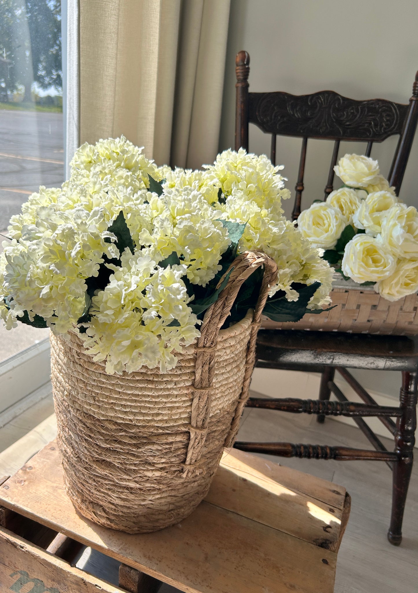 Cream Hydrangea Bush
