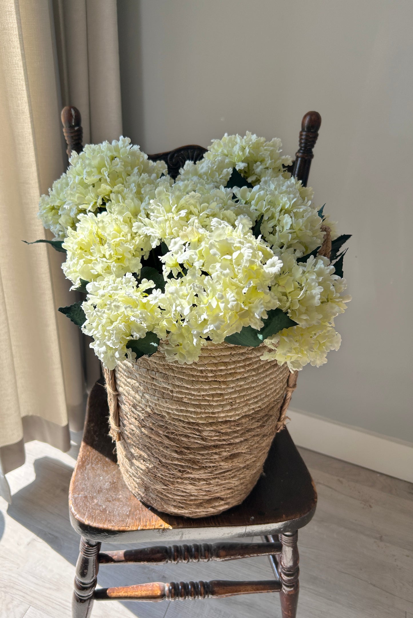Cream Hydrangea Bush