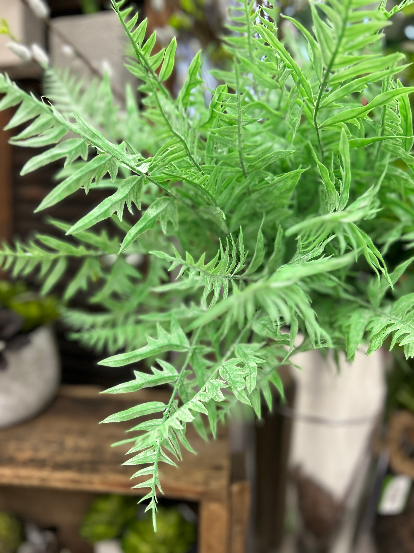 Soft Touch Fern Pick