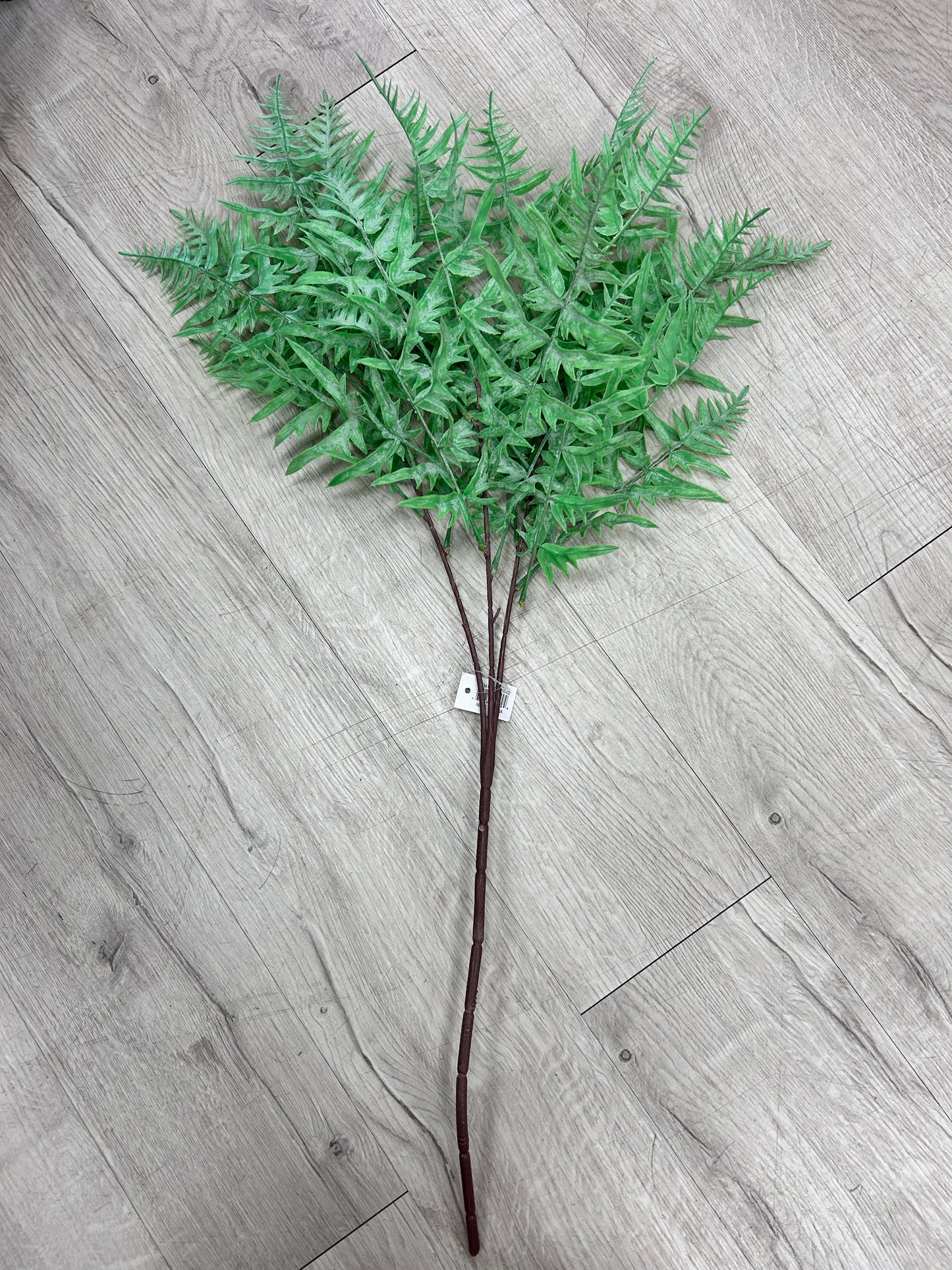 Soft Touch Fern Pick