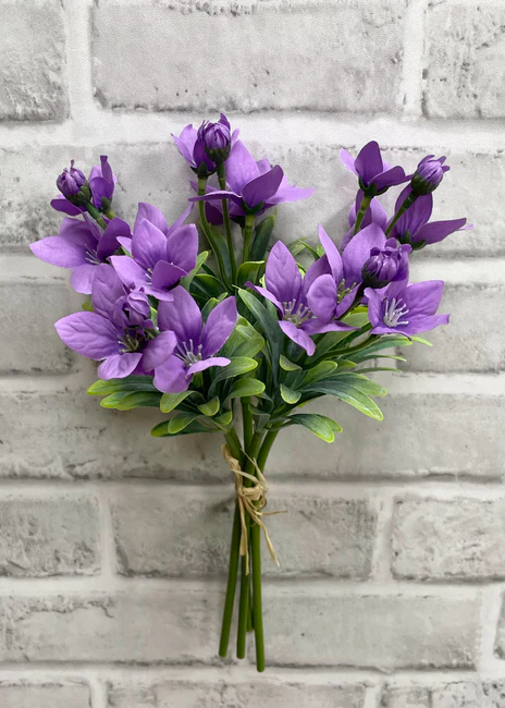Lavender Balloon Flower