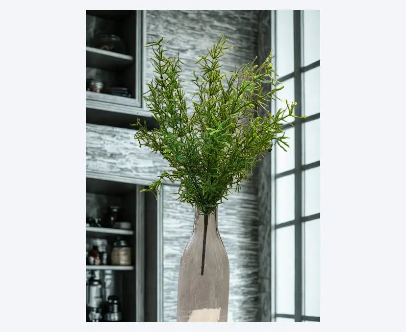 Soft Touch Rosemary Bush