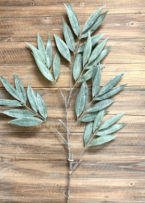 Muddy White Willow Spray