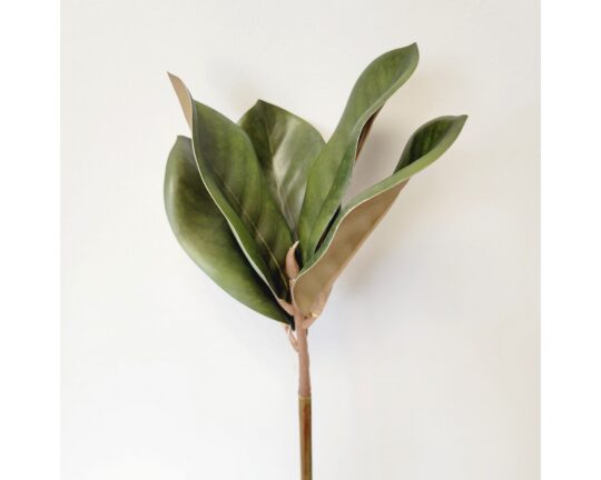 Magnolia Leaf Pick