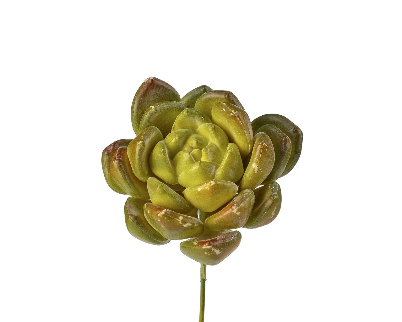 Summer Succulent Pick