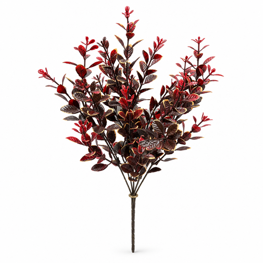 Burgundy Euonymus Bush