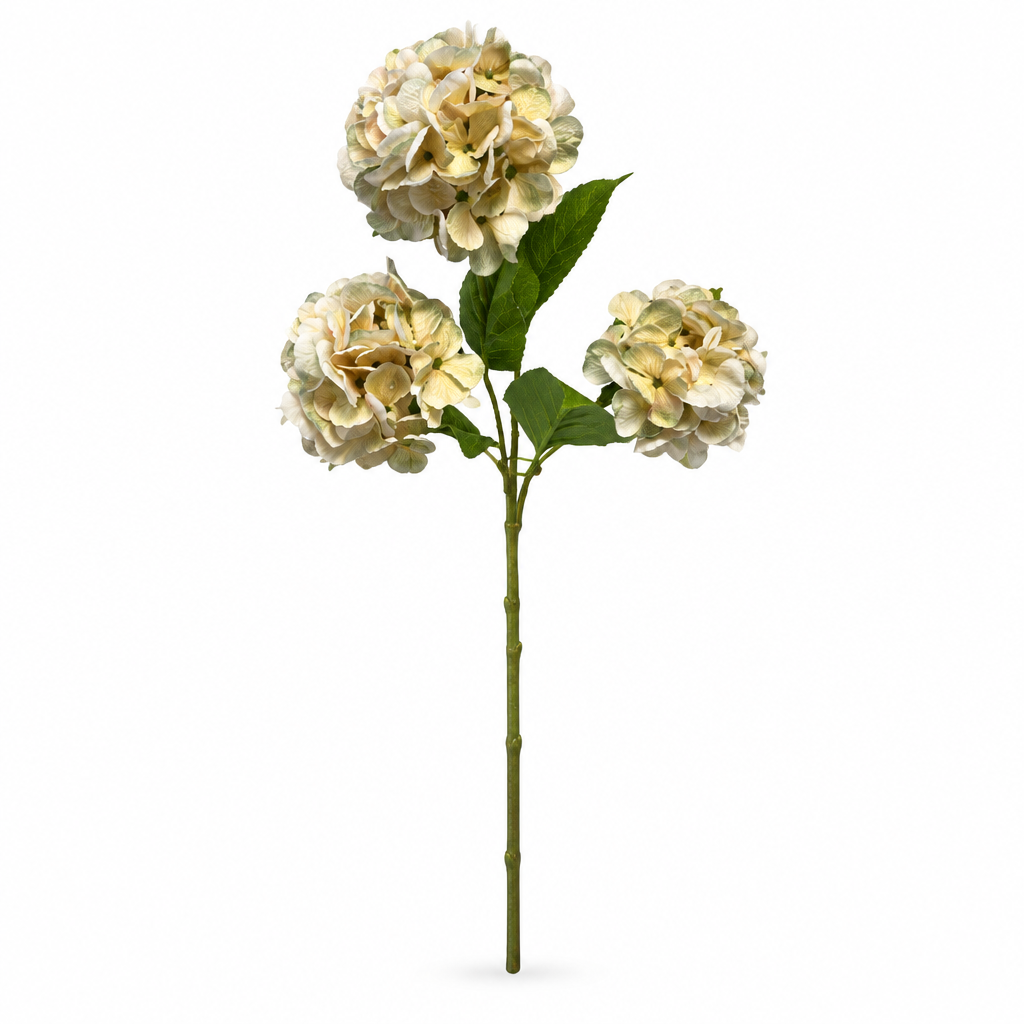 Hydrangea Spray - Cream/Green