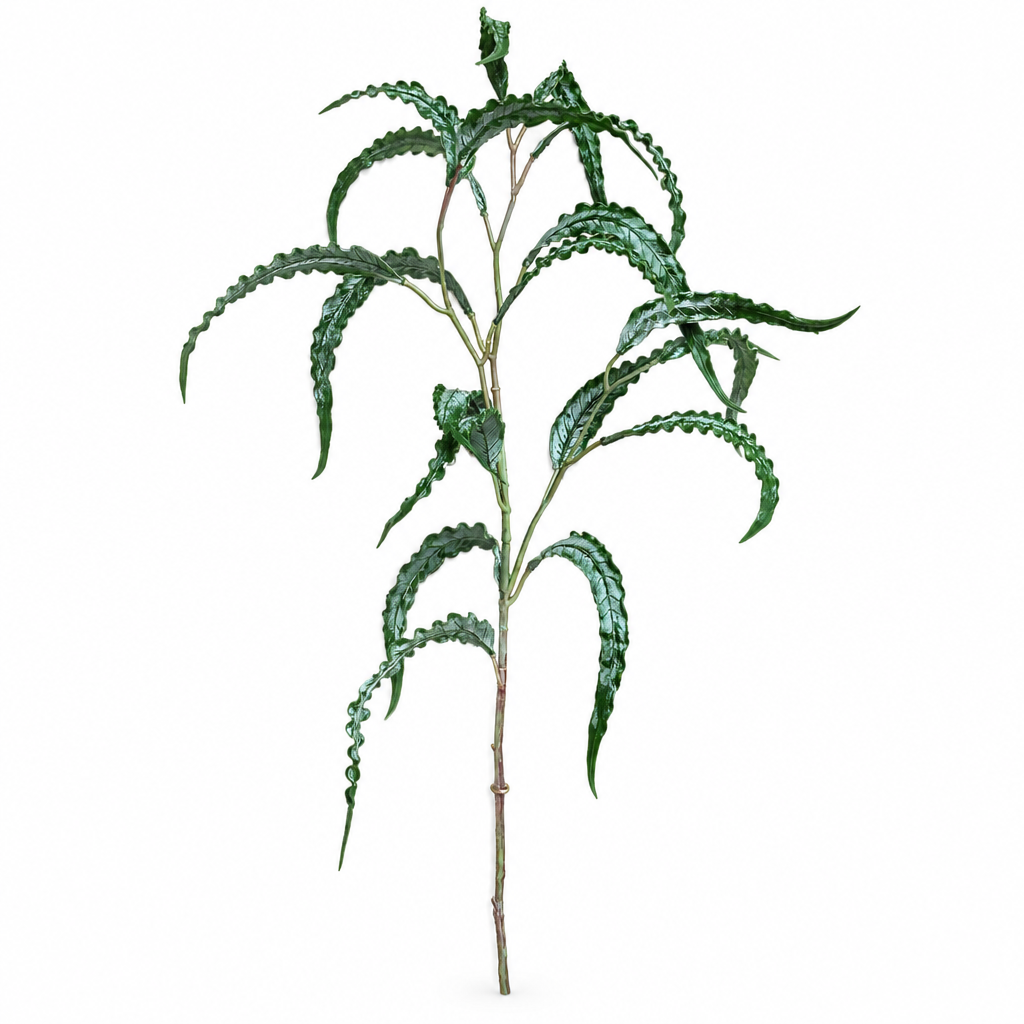 Fresh Touch Curly Eucalyptus Spray